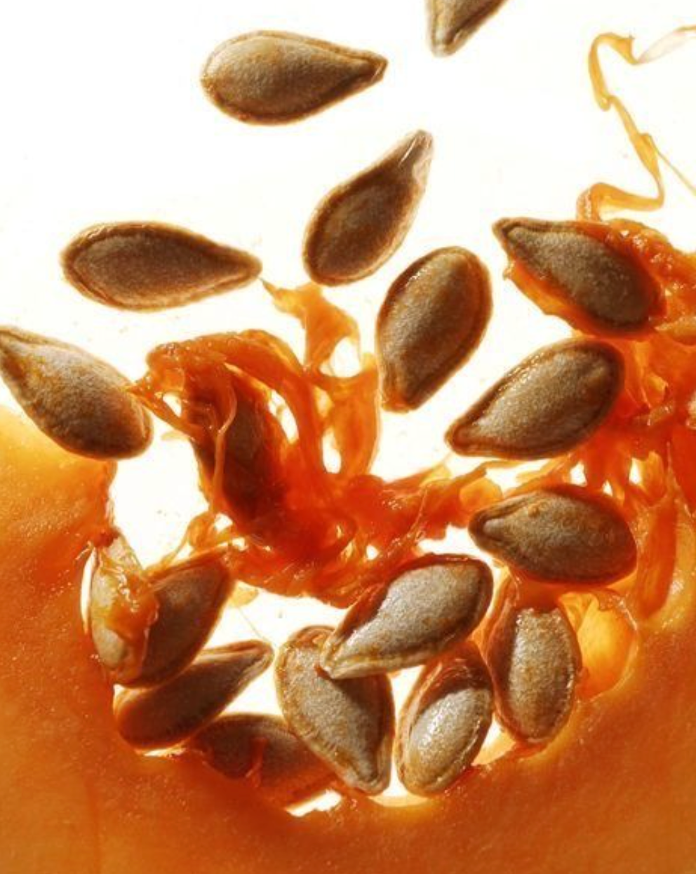 PUMPKIN SEED OIL